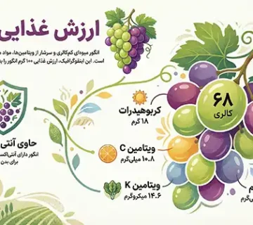 خرید نهال انگور