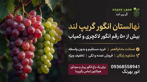 کاشت بذر انگور